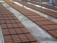 /album/foto/phoca-thumb-l-2-small-jpg/